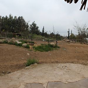 Buin Zoo - African Savanna Exhibit (giraffe, ostrich and thomson's gazelle)