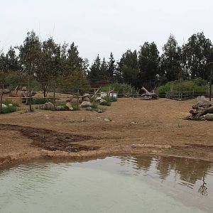 Buin Zoo - African Savanna Exhibit (giraffe, ostrich and thomson's gazelle)