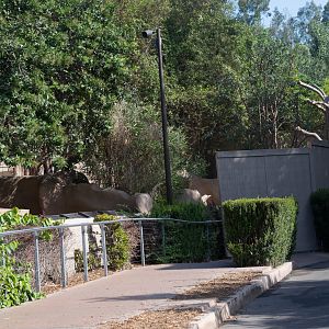 Construction of the new Amur and snow leopard exhibits.