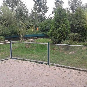 Raccoon dog enclosure