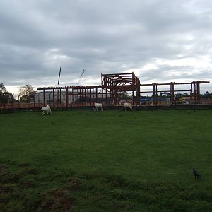 Latest view of Islands