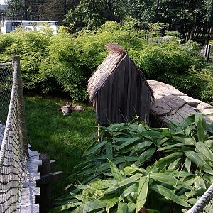 View with Aardwolves ( 23rd sept 2014 )