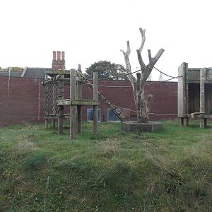 One of the Chimp enclosures