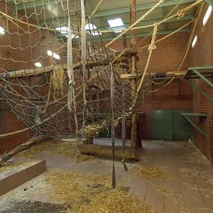 One of the chimp houses