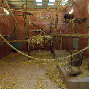 One of the chimp houses