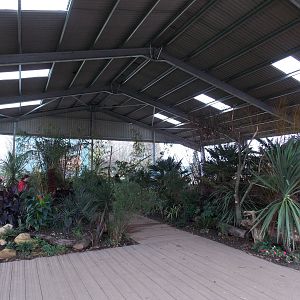 Lorikeet walkthrough