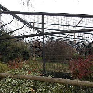 Best primate exhibit in the zoo