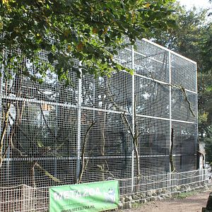 Old Clouded leopard-enclosure outside