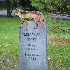 Extinction Cemetery: Thylacine