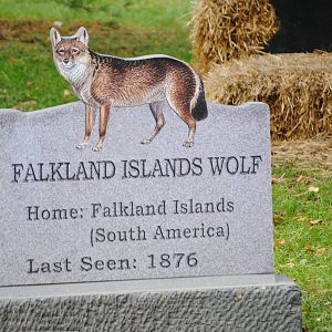 Extinction Cemetery: Falkland Islands Wolf