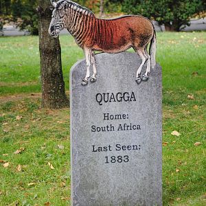 Extinction Cemetery: Quagga