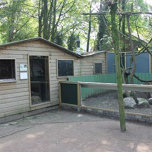 Tamandua in- and outdoor enclosure