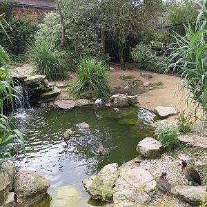 Walkthrough aviary 08/14