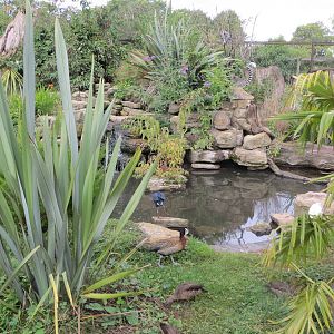 Walkthrough Lemur Enclosure 08/14