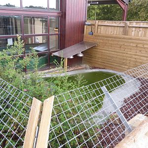 Outdoor Chinese Alligator Enclosure 08/14