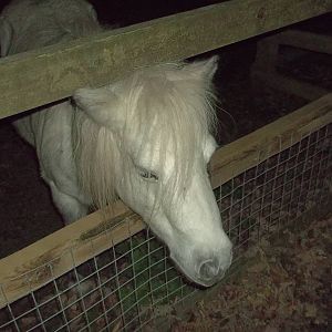 Rosie, 19th October 2014