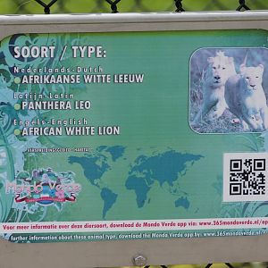 Sign White lions