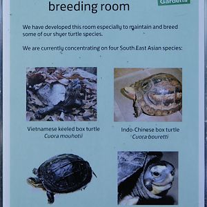 Sign on Tortoise Room Window