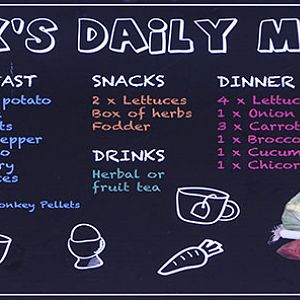 Jock's Daily Menu sign