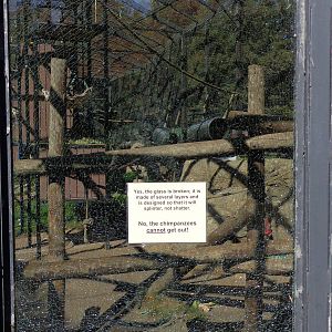 Chimpanzee Exhibit Paneling