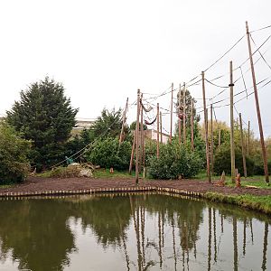 Chimpanzee Island - 22/10/2014