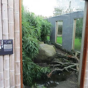 Fishing Cat Enclosure 10/14