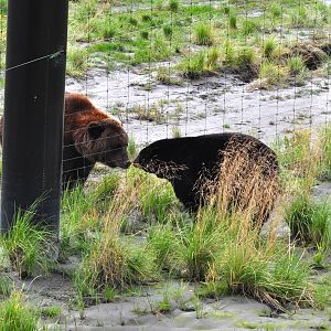 North-eastern British Coumbia or Coastal Alaska 20,000 years ago.