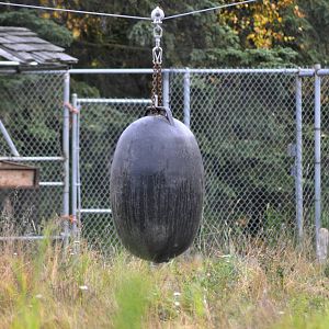 Sparring Bag in Bull Moose Exhibit