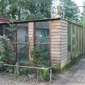 Snowy owl and Snow hare enclosure