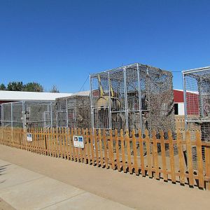 Carnivore Cages