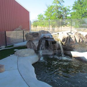 Asian Small-clawed Otter exhibit