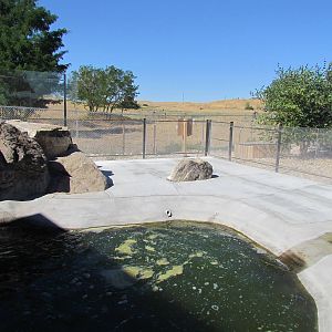 Asian Small-clawed Otter Exhibit