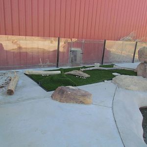 Asian Small-clawed Otter Exhibit