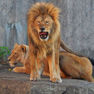 Oct. 2014 - Africa-Asia-South America - King of Queen of Milwaukee