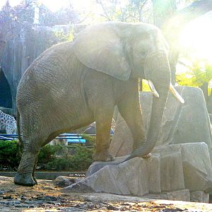 Oct. 2014 - Africa-Asia-South America - Brittanie