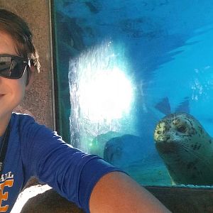 Oct. 2014 - North America - Baby Harbor Seal and Me