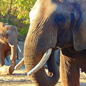 Oct. 2014 - Africa-Asia-South America - Brittany and Ruth