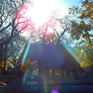 Oct. 2014 - Africa-Asia-South America - Ruth