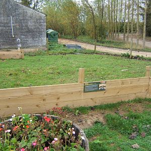 New Sulcatta enclosure