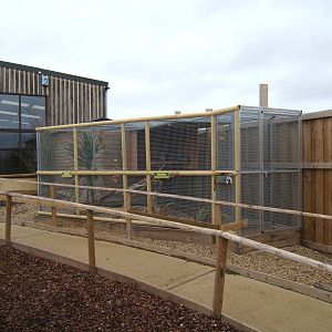Blue and Yellow Macaw Aviary