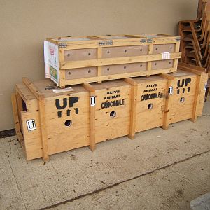 Crocodile transport crates