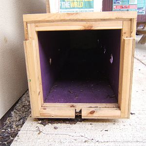 View inside Crocodile transport crate