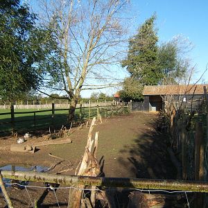 View of Timor Deer enclosure when they aren't on the main paddock