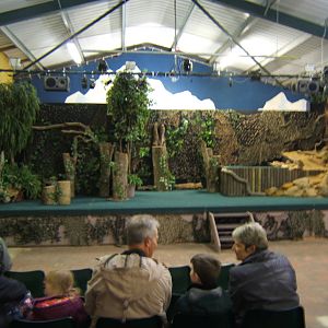 Amazing Animals show stage