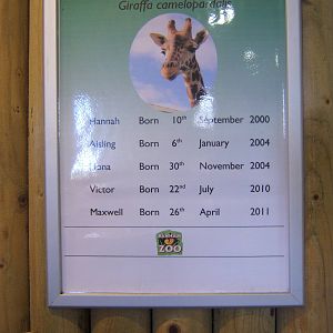 Giraffe name sign