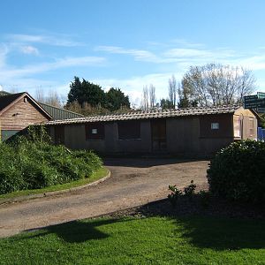 View of the old Reptile House