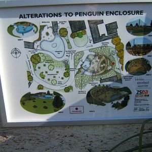 Plans for work on the Penguin enclosure
