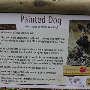 Detailed sign for African Hunting/Painted Dogs 26-10-14