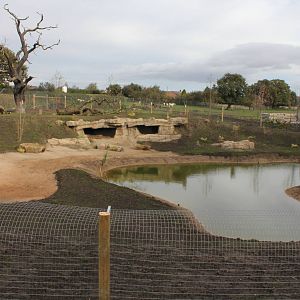 Finished hunting dog enclosure 26-10-14