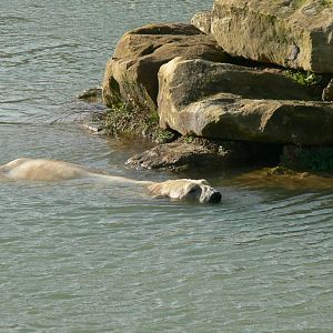 Project Polar! at Yorkshire WP, 28/10/14